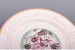 decorative plate, decal, hand painting, porcelain, sculpture's work, by Māra Rikmane, Riga (Latvia),...