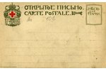 postcard, Alexander Fyodorovich Labzin - 	philosopher, Russia, beginning of 20th cent., 13,8x8,6 cm...