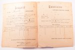 dokuments, zirga pase, Krievijas impērija, Igaunija, 1907 g., 23 x 18.5 cm...