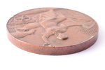 table medal, Araiši-Cēsis Agricultural Society, bronze, Russia, Ø 44.5 mm, 47.60 g, by M. A. Skudnov...