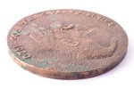 table medal, Rainis. Castagnola 1905-1920, bronze, Latvia, USSR, Ø 112 mm, 759.4 g, by Kārlis Bauman...