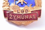 знак, Литовская пожарная дружина, отличник, № 652, СССР, Литва, 41.8 x 31.3 мм...