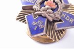 miniature badge, 1st Latvian Indepedent Company (Skrunda), Latvia, 20-30ies of 20th cent., 23.8 x 23...