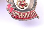 badge, Excellent Administrative Worker, USSR, 41.1 x 26.2 mm, missing spin...