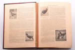 Чарльс Корниш, "Мир животных. Общедоступная зоология, иллюстрированная фотографиями с натуры", два т...