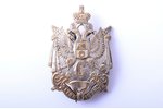 знак, Старорусский 113-й пехотный полк, Российская Империя, рубеж 19-го и 20-го веков, 48 x 32 мм...
