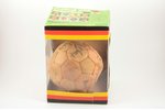 Bumba ar vācu futbola komandas autogrāfiem, Vācija, 1978 g., apkārtmērs 60 cm, kastītē...