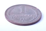 1 копейка, 1924 г., медь, СССР, 3.16 г, Ø 21.2 мм, гладкий гурт...