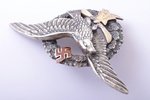 знак, Военно-авиационное училище, серебро, золото, Латвия, 20е-30е годы 20го века, 42.7 x 70.3 мм, 3...