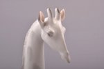 figurine, Giraffe, porcelain, Riga (Latvia), USSR, Riga porcelain factory, molder - Peter Veselov, 1...