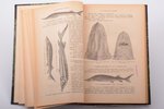 Л.С. Берг, "Рыбы пресных вод России", с 365 рисунками и картой, 2-е издание, 1923 g., Государственно...
