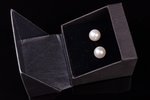 earrings, salt water south sea pearl, the best grade, gold, 18 k standart, 2.73 g., the item's dimen...