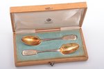 pair of spoons, silver, 84 standard, 100.50 g, engraving, gilding, 18 cm, Morozov workshop, 1908-191...