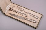 meat carving set of 3 items, silver/metal, 950 standart, total weight of items 336.60g, France, 20.8...