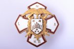 badge, Society of Soldiers - Liberators of Latvia, Latvia, 20-30ies of 20th cent., 29.6 x 28.7 mm, e...
