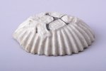 cockade, porcelain, Russia, 35.8 x 27.4 mm, chips on the edge...