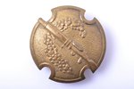 badge, Army expert-shooter (machine gun), Latvia, the 30ies of 20th cent., 30.7 x 30.2 mm...