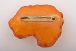 a brooch, amber, 19.11 g., the item's dimensions 5.5 x 4.3 x 1.1 cm...