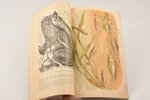 "Гады и рыбы", 5 томов, составил А.М. Никольский, 1902-1903 г., Брокгауз и Ефрон, С.-Петербург, печа...