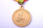 медаль, Vytautus Didysis (Витовт Великий), бронза, позолота, Литва, 35.9 x 30.6 мм...