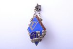 badge, TV 41, secondary school, silver, enamel, Latvia, USSR, 1960, 27.9 x 16.6 mm...