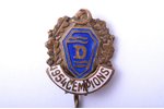 badge, Sports Society "Daugava", Champion, Latvia, USSR, 1954, 18.3 x 14.7 mm...