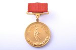 medal, Basketball champion of the USSR, 1st class, gold, USSR, 1955, 32.8 x 29.1 mm...
