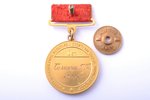 медаль, Чемпион СССР по баскетболу, 1-я степень, золото, СССР, 1955 г., 32.8 x 29.1 мм...