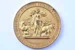 table medal, Kaunas Agricultural Society, For work in favour of agriculture, Russia, Lithuania, begi...