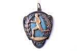 награда, Международные соревнования по спортивной ходьбе, первый приз, Латвия, 1927 г., 40.8 x 30.1...