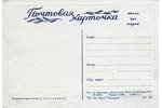 atklātne, propoganda, (tirāža 25 000), PSRS, 1946 g., 15,3x10,8 cm...
