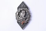 school badge, SPĢ, city gymnasium, silver, enamel, Latvia, 1933, 34 x 18.7 mm, missing nut...