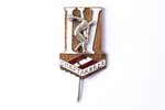 badge, 4th All-Union Spartakiad of "Spartak", brass, enamel, USSR, 1958, 35.5 x 23.2 mm...
