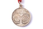 commemorative medal, Meeting of the Presidents of Latvia and Estonia, silver, 875 standard, Latvia,...
