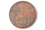 table medal, For diligence, the Ministry of Agriculture, bronze, Latvia, 20-30ies of 20th cent., Ø 6...