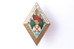badge, State forest guard, USSR, 50ies of 20 cent., 40.1 x 24.9 mm...