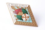 знак, Государственная лесная охрана, СССР, 50-е годы 20го века, 40.1 x 24.9 мм...