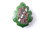 school badge, IRVS, Latvia, 1923, 35.1 x 28 mm, "S. Bercs" firm, chip on the surface of green enamel...