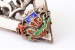 student's badge, University of Latvia, silver, enamel, Latvia, the 30ies of 20th cent., 44 x 27.5 mm...