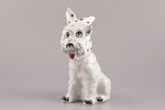 figurine, Dog with a kerchief, porcelain, Riga (Latvia), USSR, sculpture's work, molder - Taisija  P...