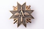 знак, фотография, Aizsargi (Защитники), № 925, серебро, 875 проба, Латвия, 20е-30е годы 20го века, 4...