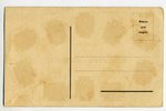 открытка, язык марок, Латвия, Российская империя, начало 20-го века, 13,8x8,6 см...