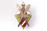 badge, "Imanta" infantry regiment (copy), Latvia, 50-60ies of the 20th cent., 51.8 x 32 mm, small en...