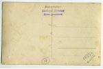 fotogrāfija, kāzu kolonna, Latvija, 20. gs. 20-30tie g., 14x8,8 cm...