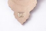 badge, Honorable Person of National Education of the Latvian SSR, Latvia, USSR, 37.2 x 20.6 mm, in a...