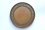 table medal, For diligence and art, Estonia Revel Agricultural Society, bronze, Russia, Ø 53.3 mm, 7...
