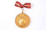 medal, sport, Rigaer Athletik-Klub (Riga Athletics Club), 1st place, weightlifting, Latvia, Russia,...