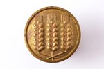 badge, Mazpulki, with 3 ears, Latvia, 20-30ies of 20th cent., 20 x 20 mm...