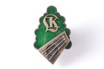 badge, Latvian Conservatory, silver, enamel, Latvia, 20-30ies of 20th cent., 34.5 x 22.5 mm...