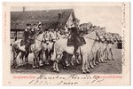 postcard, Imperial Russian Army, military orchestra, Russia, Finland, beginning of 20th cent., 14x9...